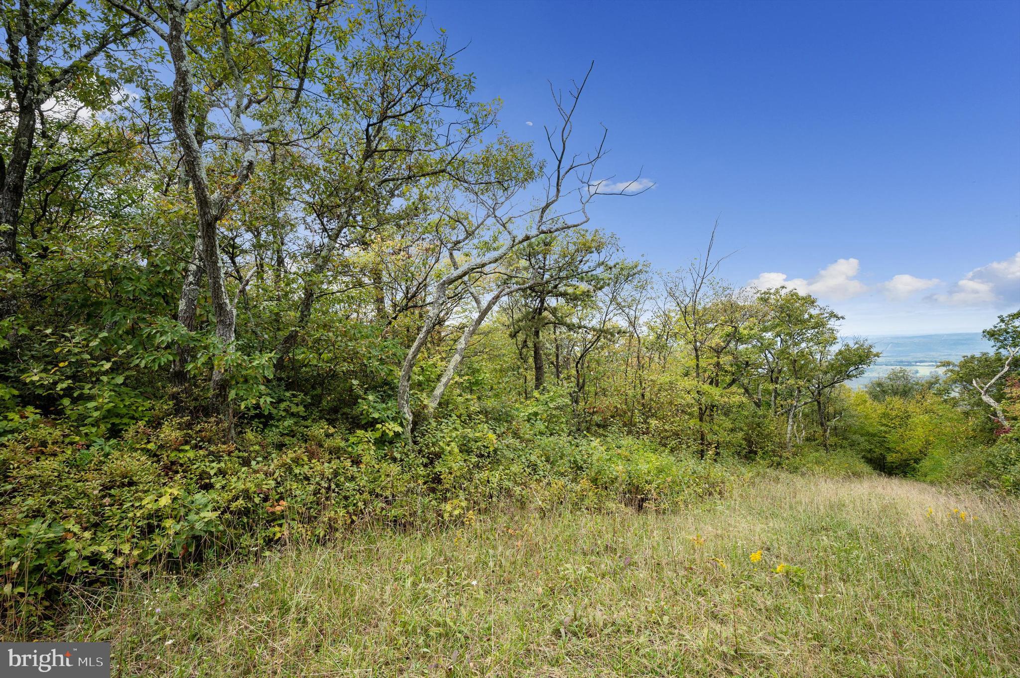Lot 38 Timber Ridge Trail Winchester, VA 22602 - Photo 6 of 15 Gallery Image 6