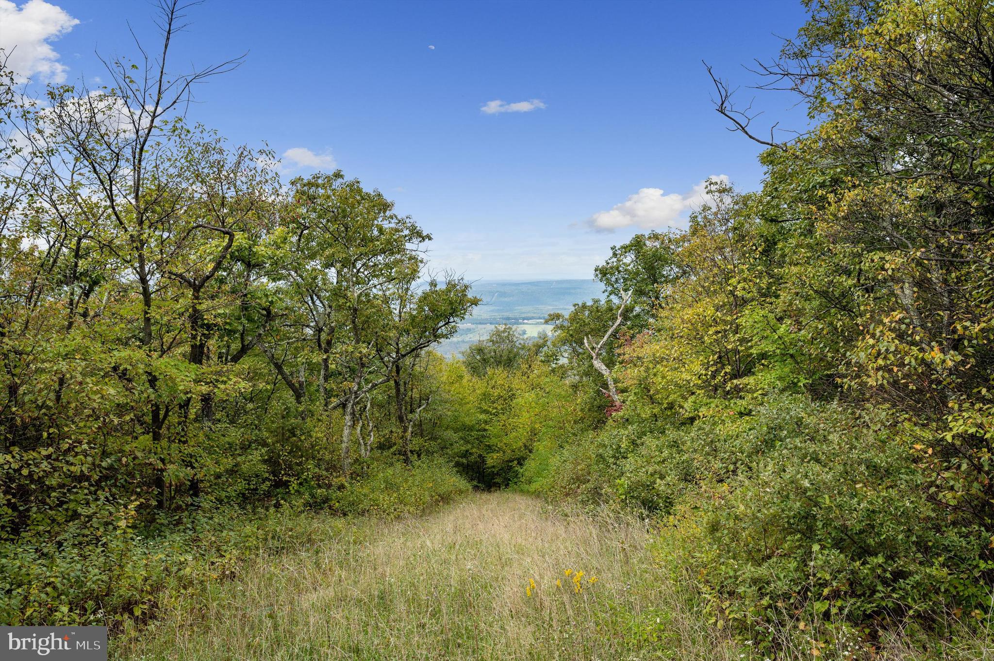 Lot 38 Timber Ridge Trail Winchester, VA 22602 - Photo 7 of 15 Gallery Image 7