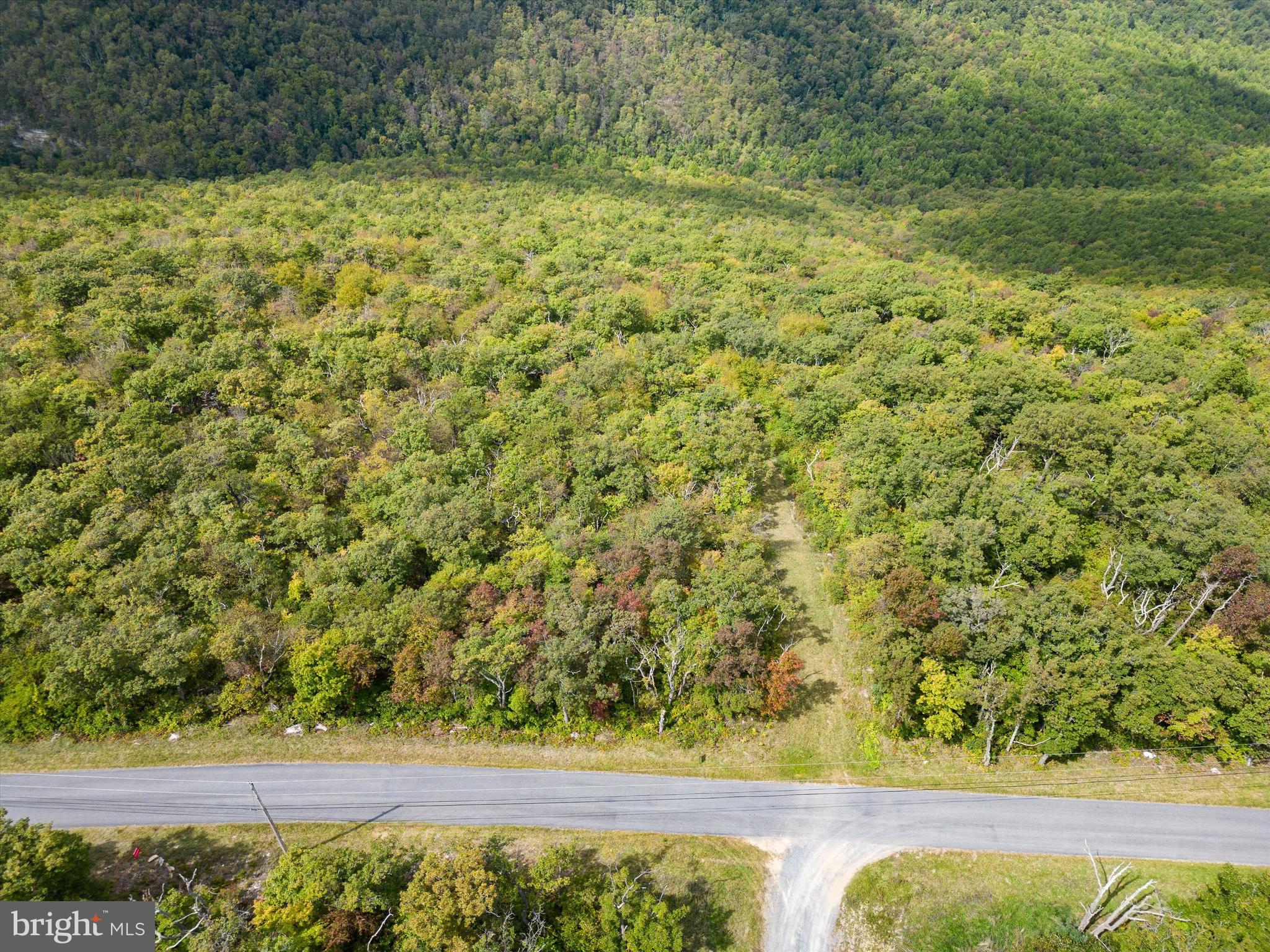 Lot 38 Timber Ridge Trail Winchester, VA 22602 - Photo 10 of 15 Gallery Image 10