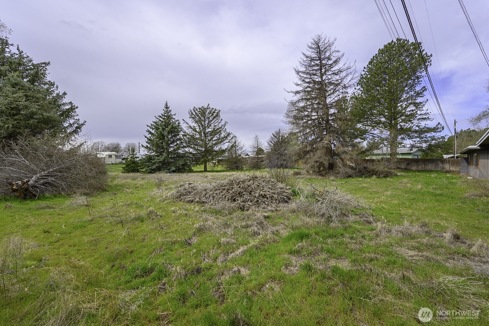 537 Fairchild Loop Moses Lake, WA 98837 - Photo 29 of 34 a view of yard with large trees