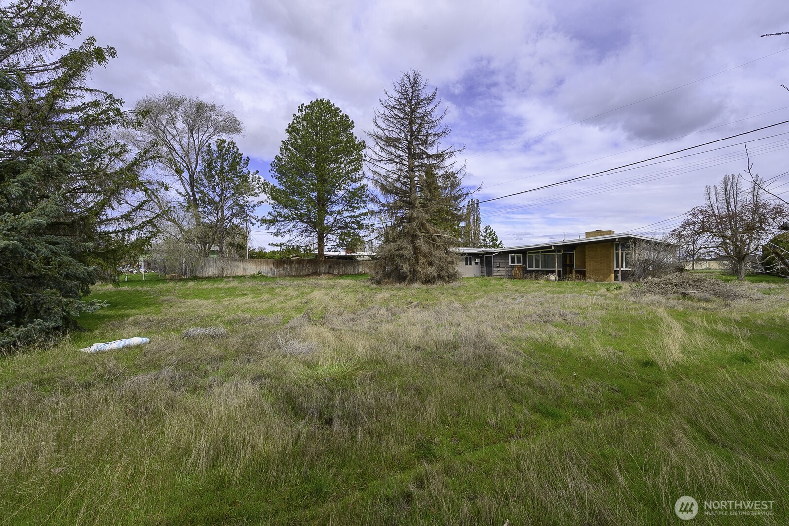 537 Fairchild Loop Moses Lake, WA 98837 - Photo 31 of 34 a view of yard with tree in the background