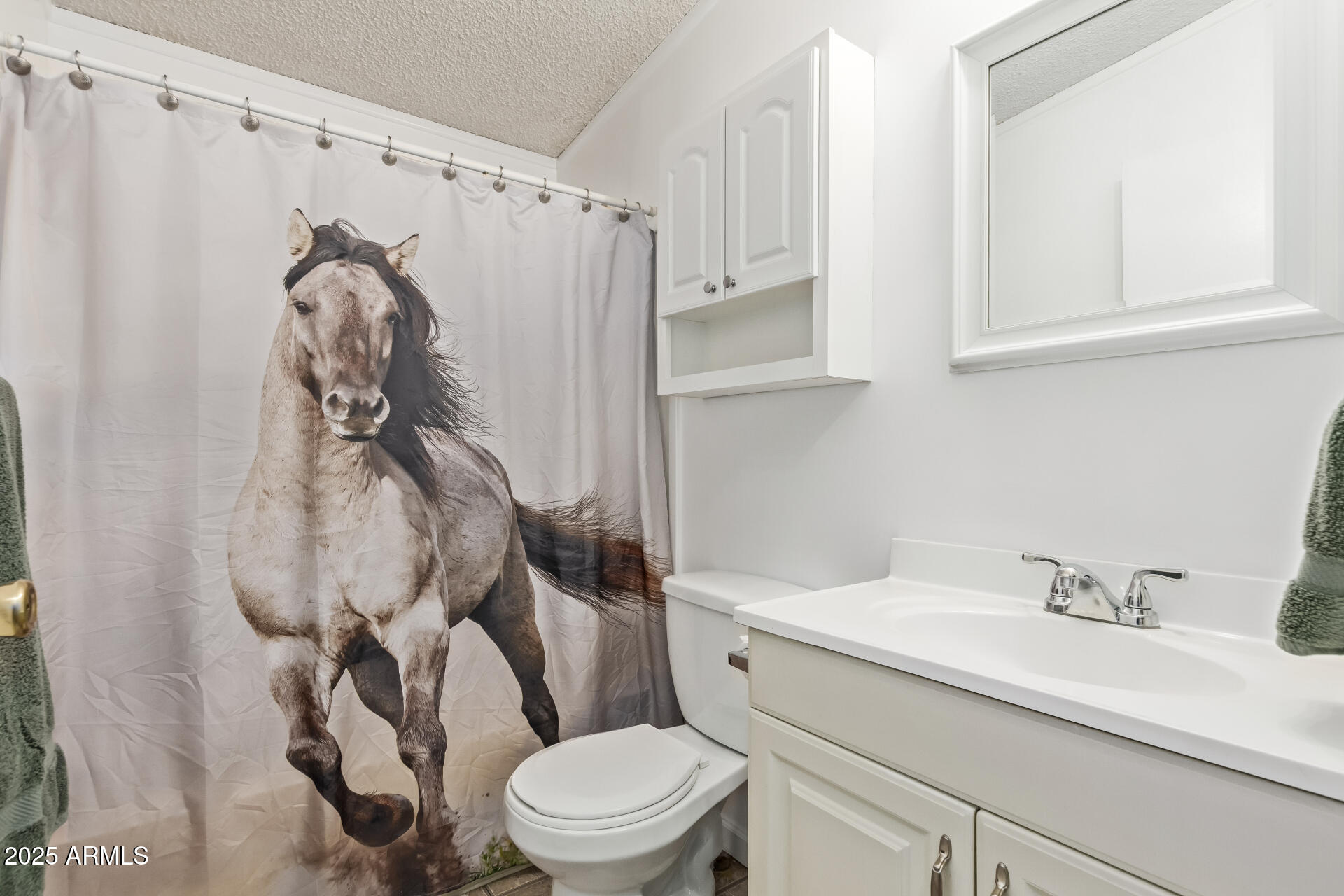 164 North Wickiup Road Apache Junction, AZ 85119 - Photo 28 of 62 a bathroom with a sink a toilet and a mirror