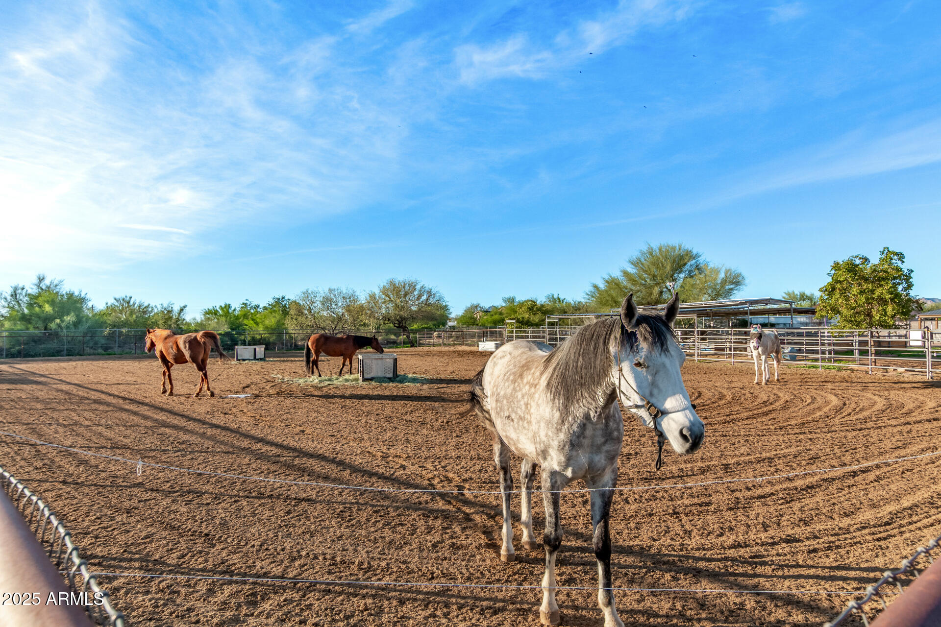 164 North Wickiup Road Apache Junction, AZ 85119 - Photo 40 of 62 39 Wickiup