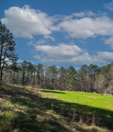 a view of green field with trees