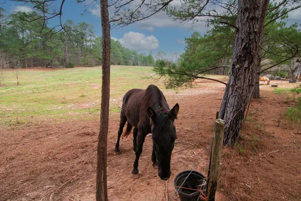 a view of a storage room with racks