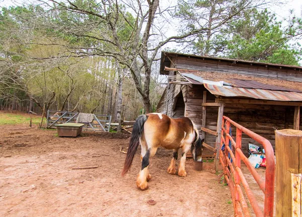 a view of a yard with table and chairs