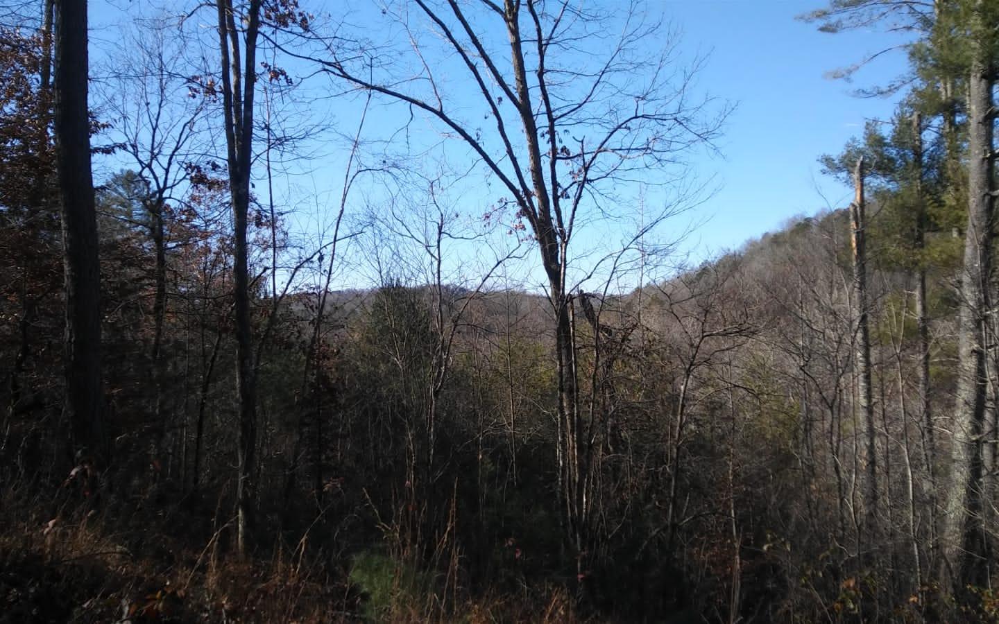 Lot 9 Ridgeview Road Morganton, GA 30560 - Photo 2 of 4 Additional View