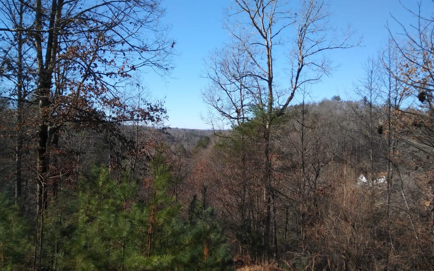 Lot 9 Ridgeview Road Morganton, GA 30560 - Photo 3 of 4 Additional View