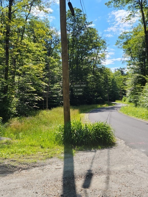0 Thicket Road Tolland, MA 01034 - Photo 3 of 13