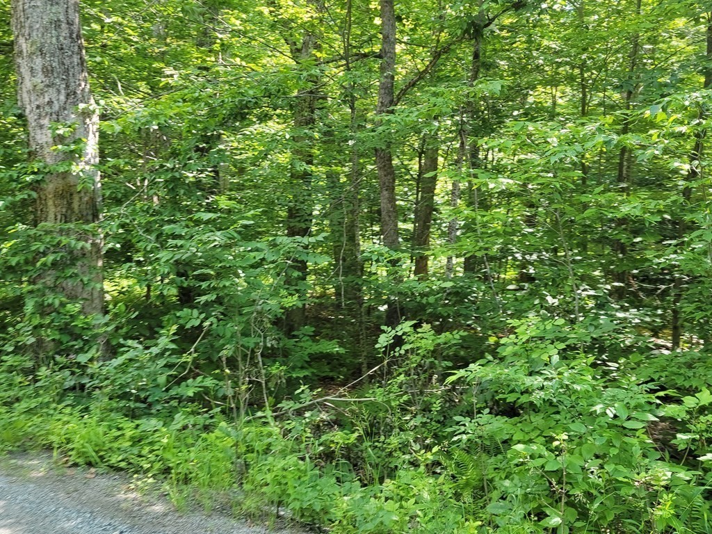 0 Thicket Road Tolland, MA 01034 - Photo 5 of 13