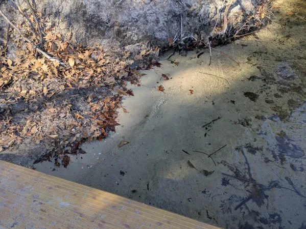 $1,500,000 | 15 Daylilly Lane, Limington, ME 04049