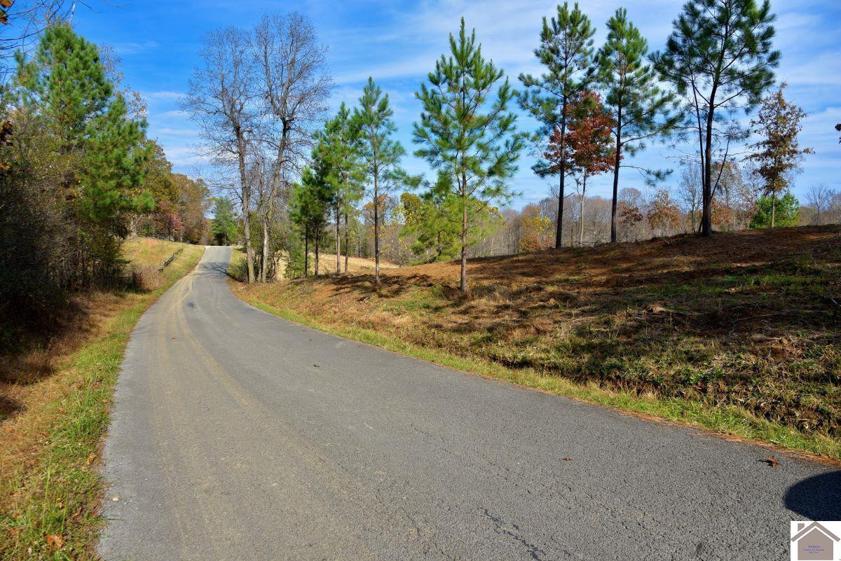 0 Goodsprings Road Fredonia, KY 42411 - Photo 3 of 33 Photo 3