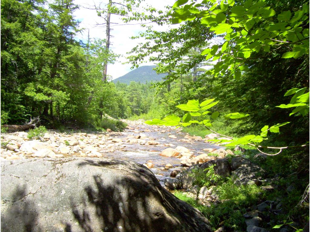 26 Camp Loop Road Glen, NH 03838 - Photo 15 of 16