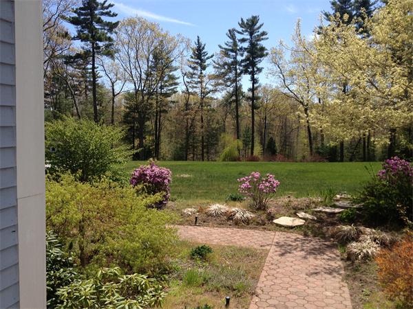 141 Stone School Road Sutton, MA 01590 - Photo 3 of 30 a view of a fire pit with large trees