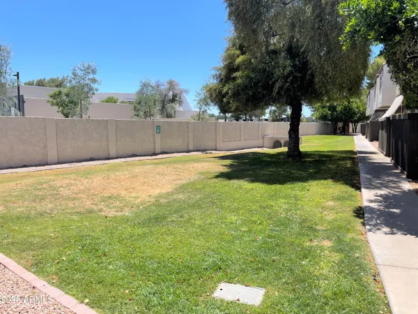 a view of a back yard