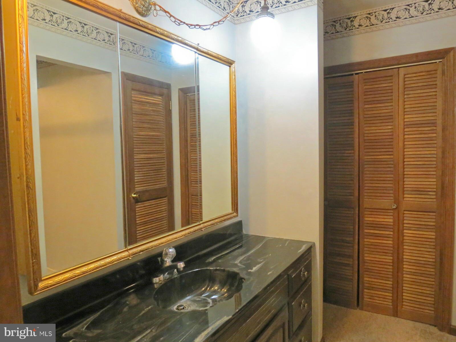 5401 Cabbage Spring Road Mount Airy, MD 21771 - Photo 14 of 30 Master Bath has Separate Vanities & Dressing Area