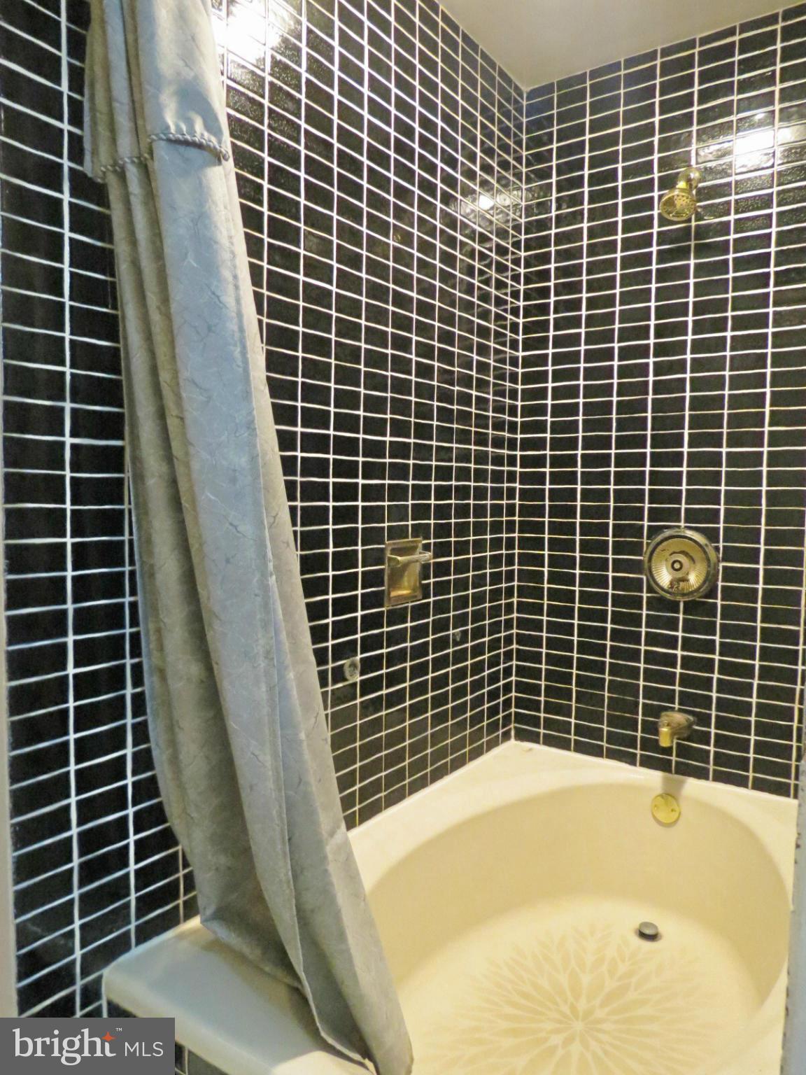 5401 Cabbage Spring Road Mount Airy, MD 21771 - Photo 15 of 30 Ceramic Master Bath