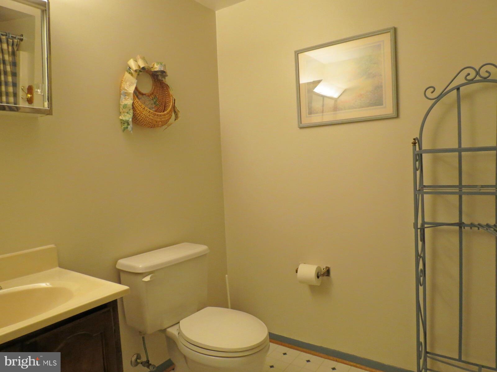 5401 Cabbage Spring Road Mount Airy, MD 21771 - Photo 26 of 30 Full Bath on LL