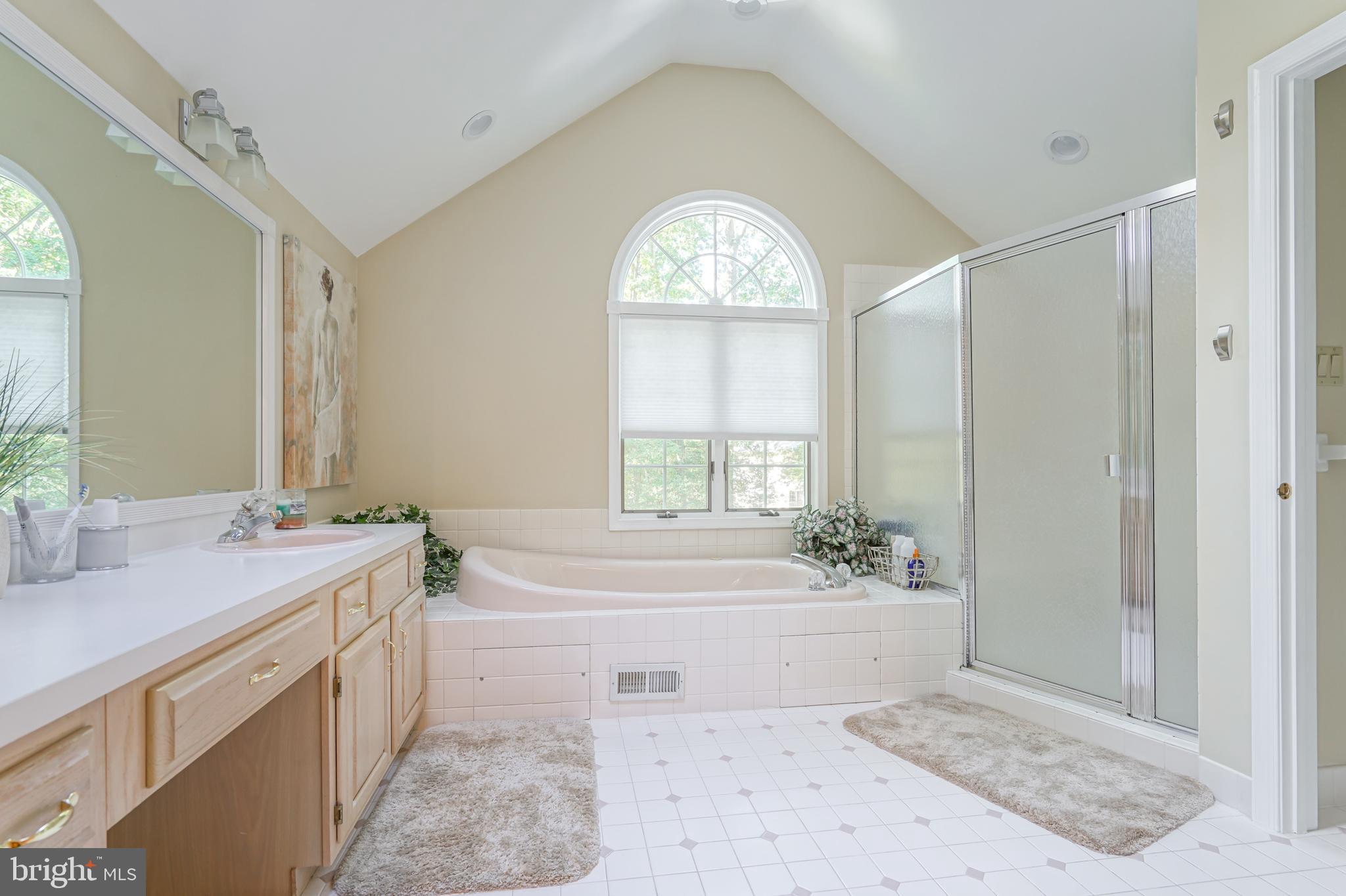20 Maple Tree Drive Westampton, NJ 08060 - Photo 26 of 57 Master Bathroom