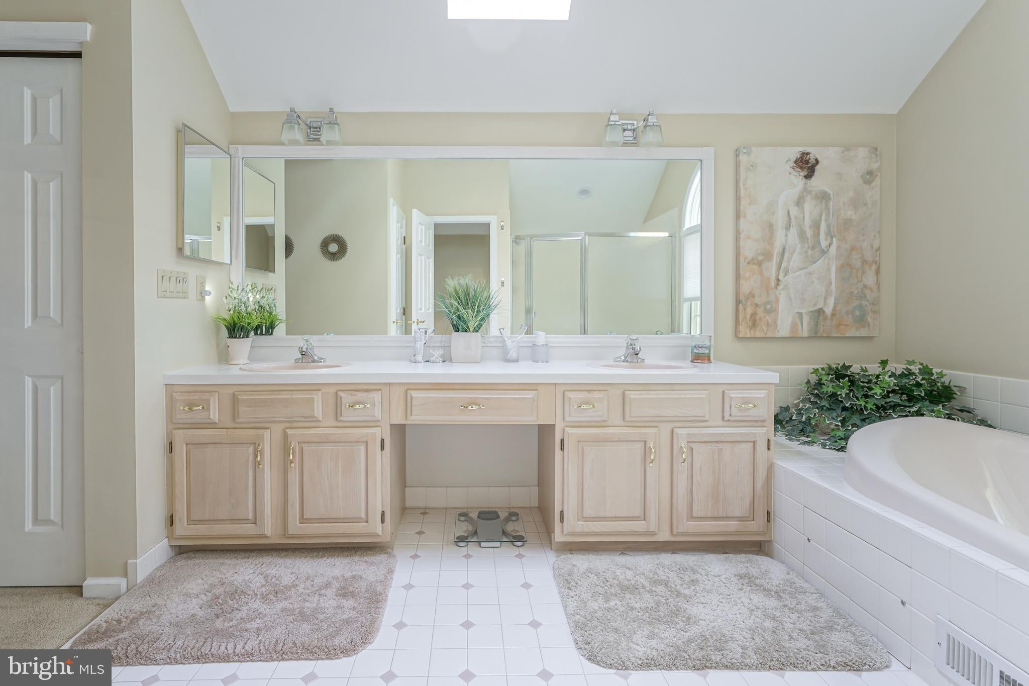 20 Maple Tree Drive Westampton, NJ 08060 - Photo 28 of 57 Master Bathroom