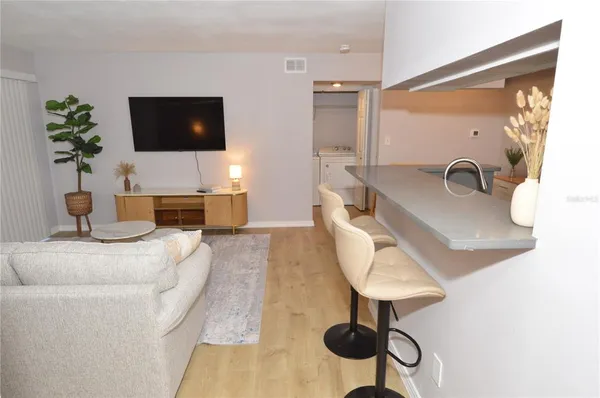 a living room with furniture and a potted plant