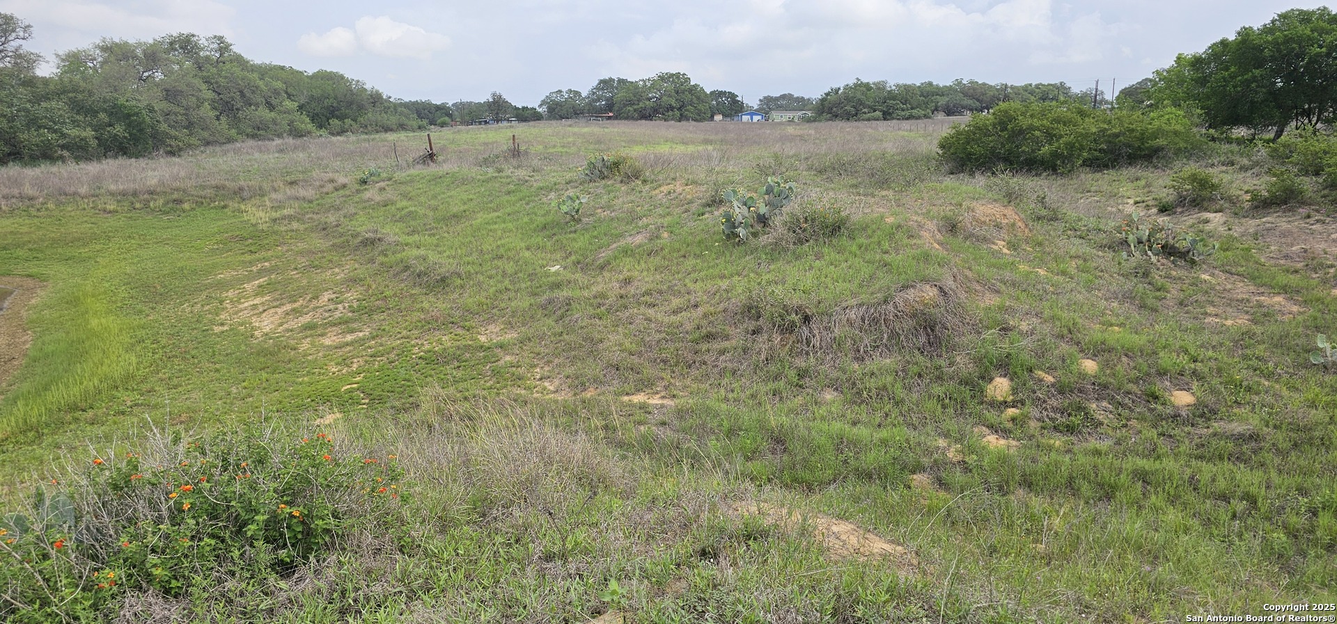 0 Stacey Poteet, TX 78065 - Photo 11 of 44