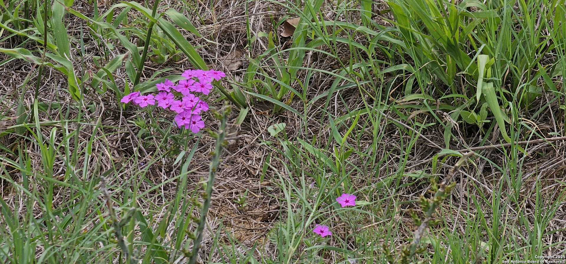 0 Stacey Poteet, TX 78065 - Photo 12 of 44