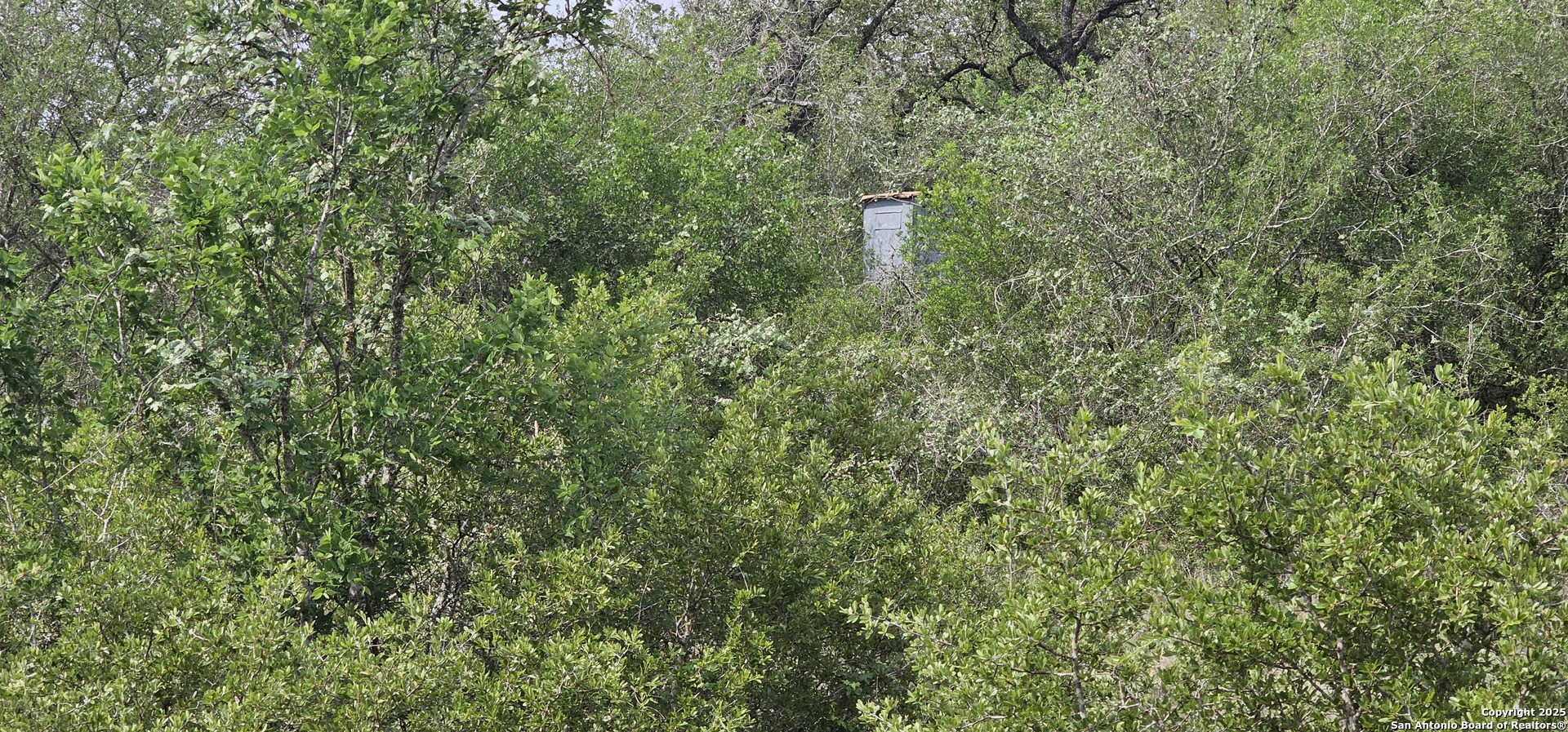 0 Stacey Poteet, TX 78065 - Photo 14 of 44