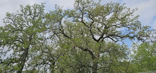 $165,000 | 0 Stacey, Poteet, TX 78065