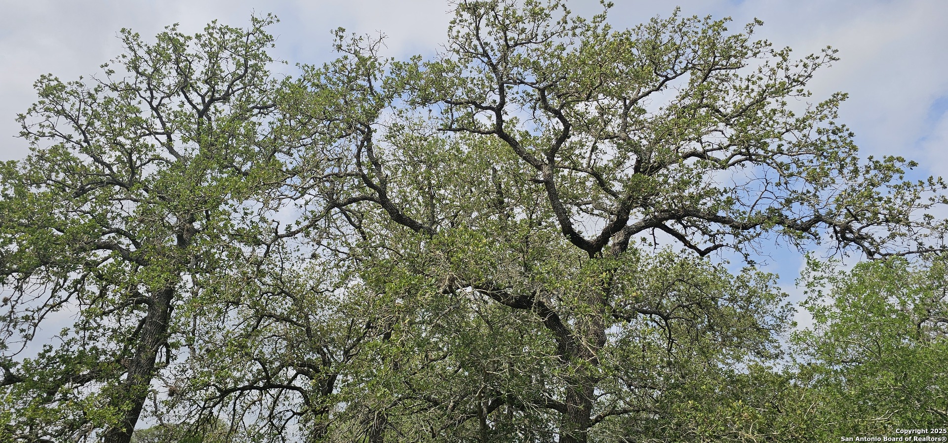 0 Stacey Poteet, TX 78065 - Photo 17 of 44