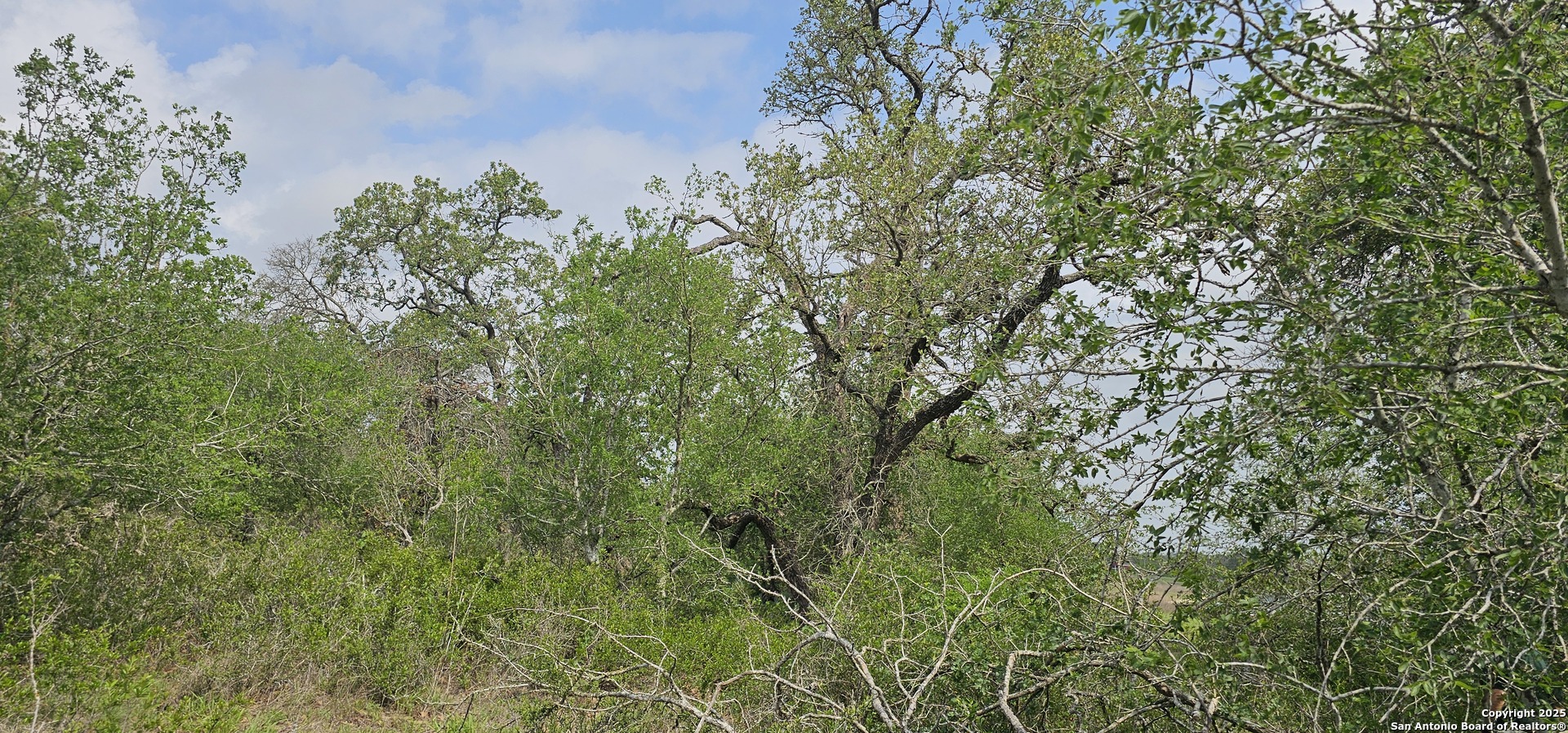 0 Stacey Poteet, TX 78065 - Photo 18 of 44