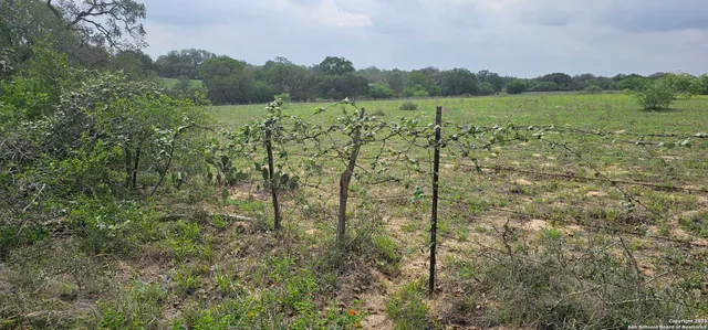 $165,000 | 0 Stacey, Poteet, TX 78065