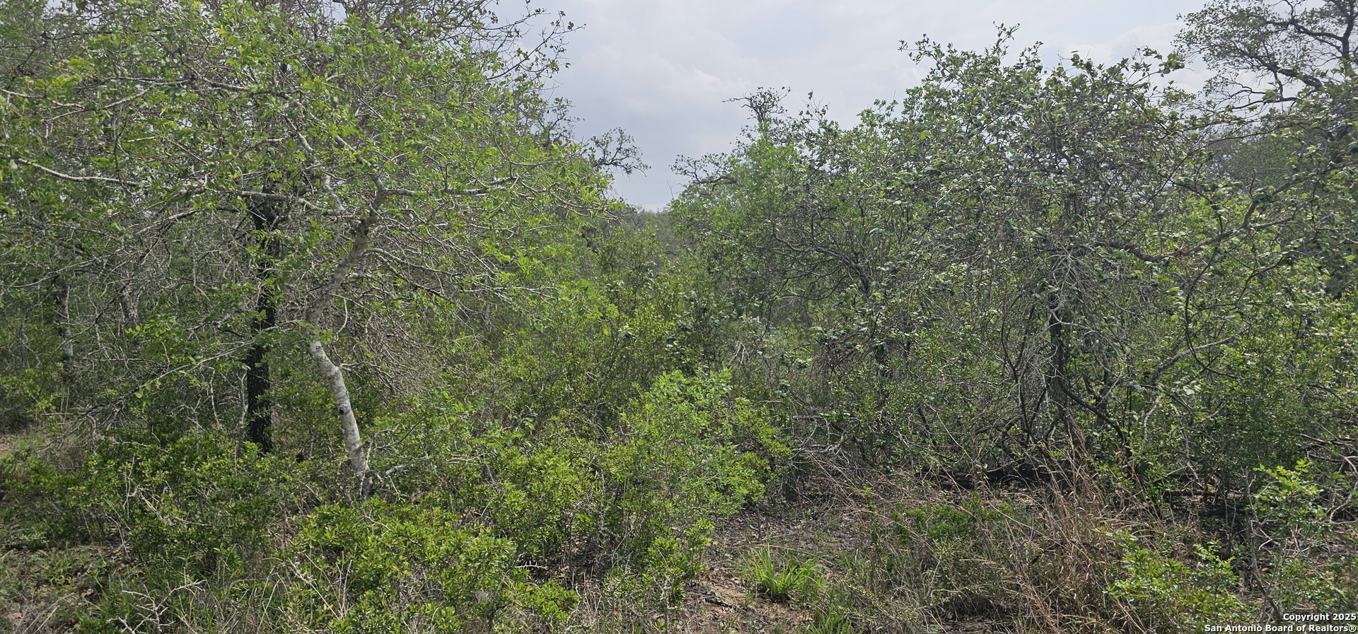 0 Stacey Poteet, TX 78065 - Photo 20 of 44