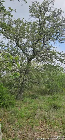 $165,000 | 0 Stacey, Poteet, TX 78065