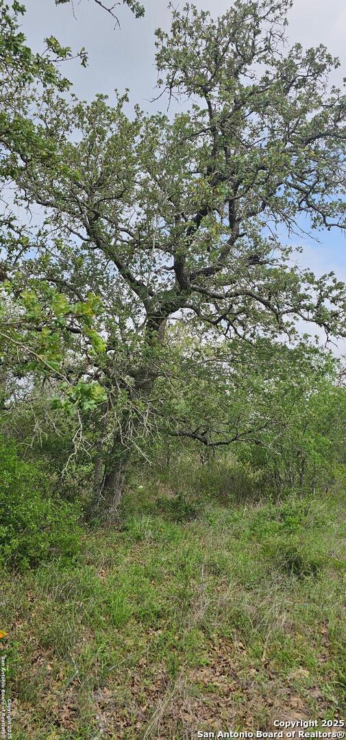 0 Stacey Poteet, TX 78065 - Photo 21 of 44