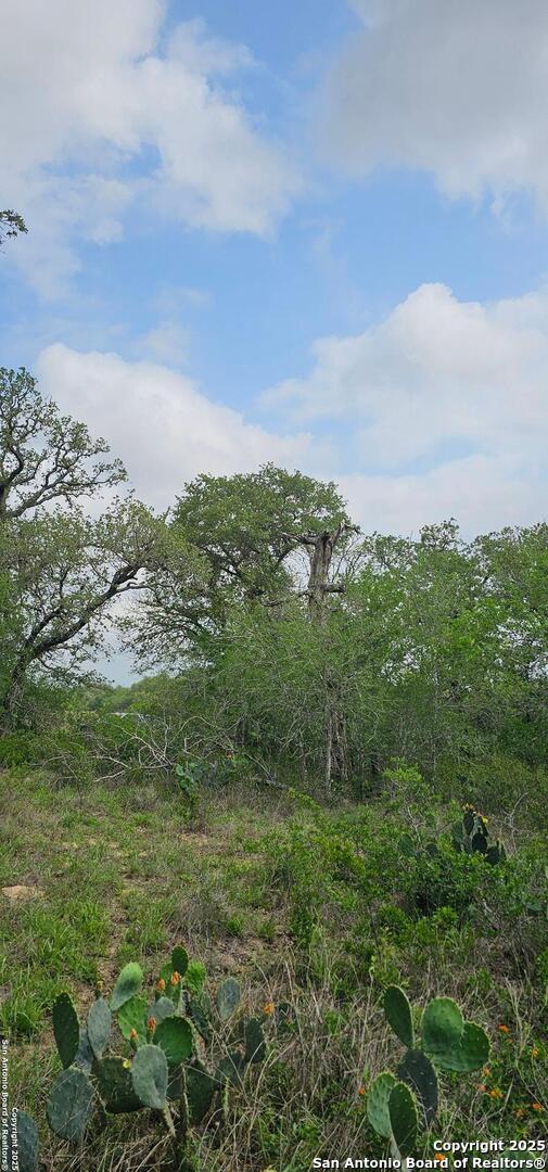 0 Stacey Poteet, TX 78065 - Photo 22 of 44