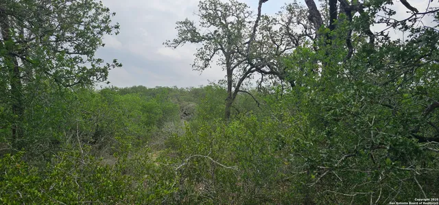 $165,000 | 0 Stacey, Poteet, TX 78065