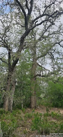 $165,000 | 0 Stacey, Poteet, TX 78065