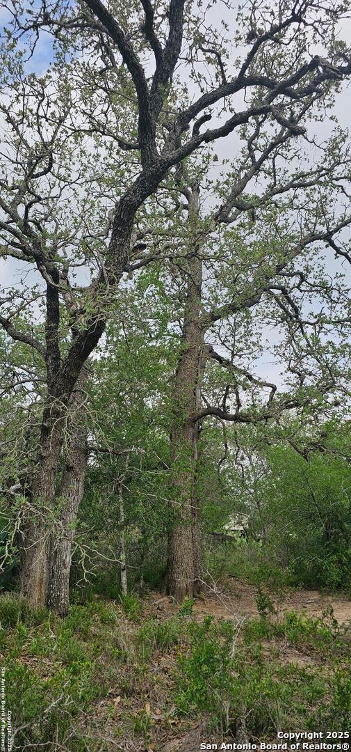 0 Stacey Poteet, TX 78065 - Photo 24 of 44