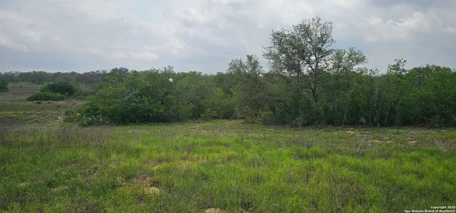 $165,000 | 0 Stacey, Poteet, TX 78065