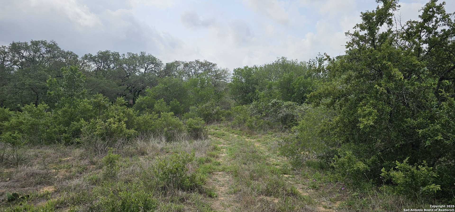 0 Stacey Poteet, TX 78065 - Photo 3 of 44