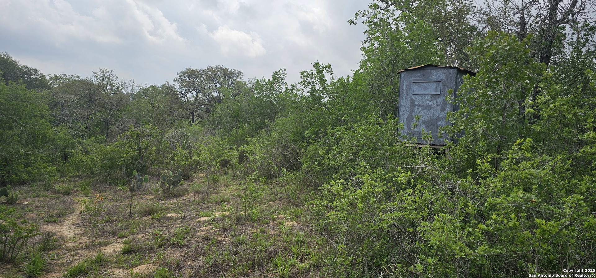 0 Stacey Poteet, TX 78065 - Photo 32 of 44