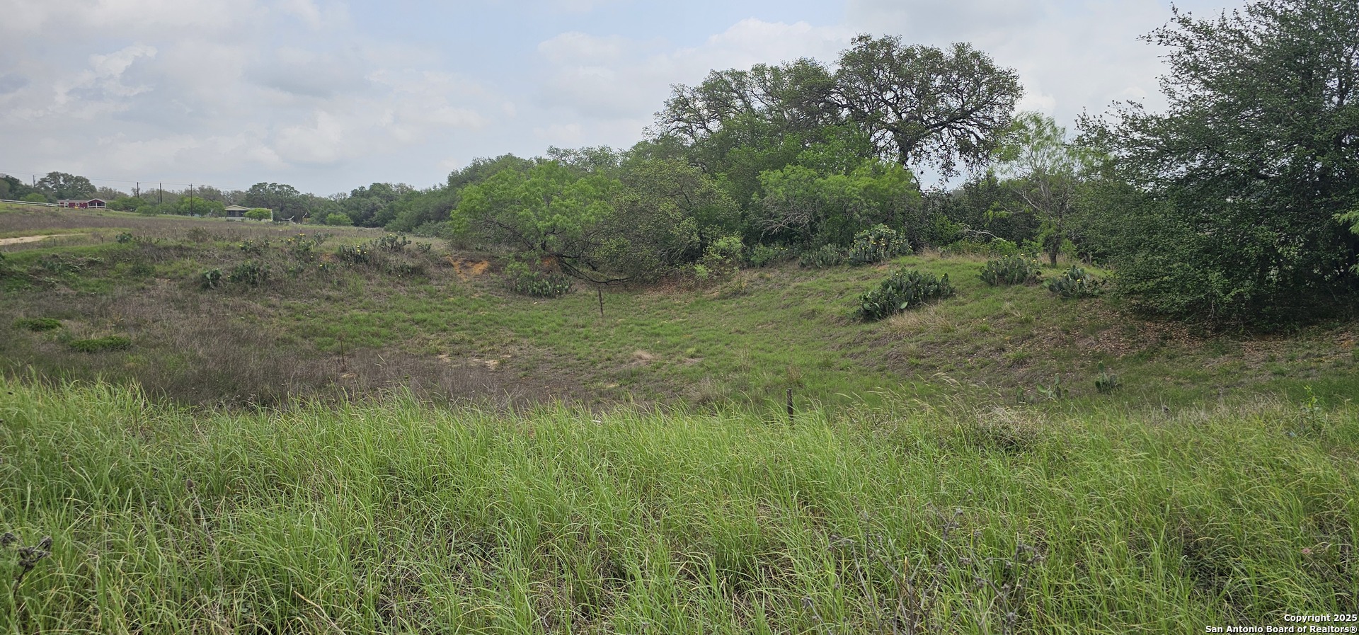 0 Stacey Poteet, TX 78065 - Photo 34 of 44