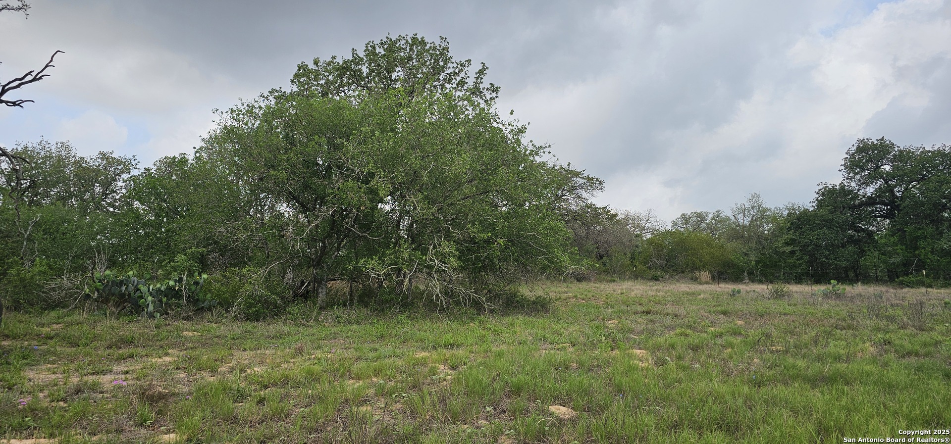 0 Stacey Poteet, TX 78065 - Photo 37 of 44