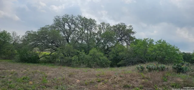 $165,000 | 0 Stacey, Poteet, TX 78065