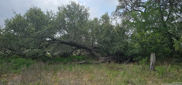 $165,000 | 0 Stacey, Poteet, TX 78065