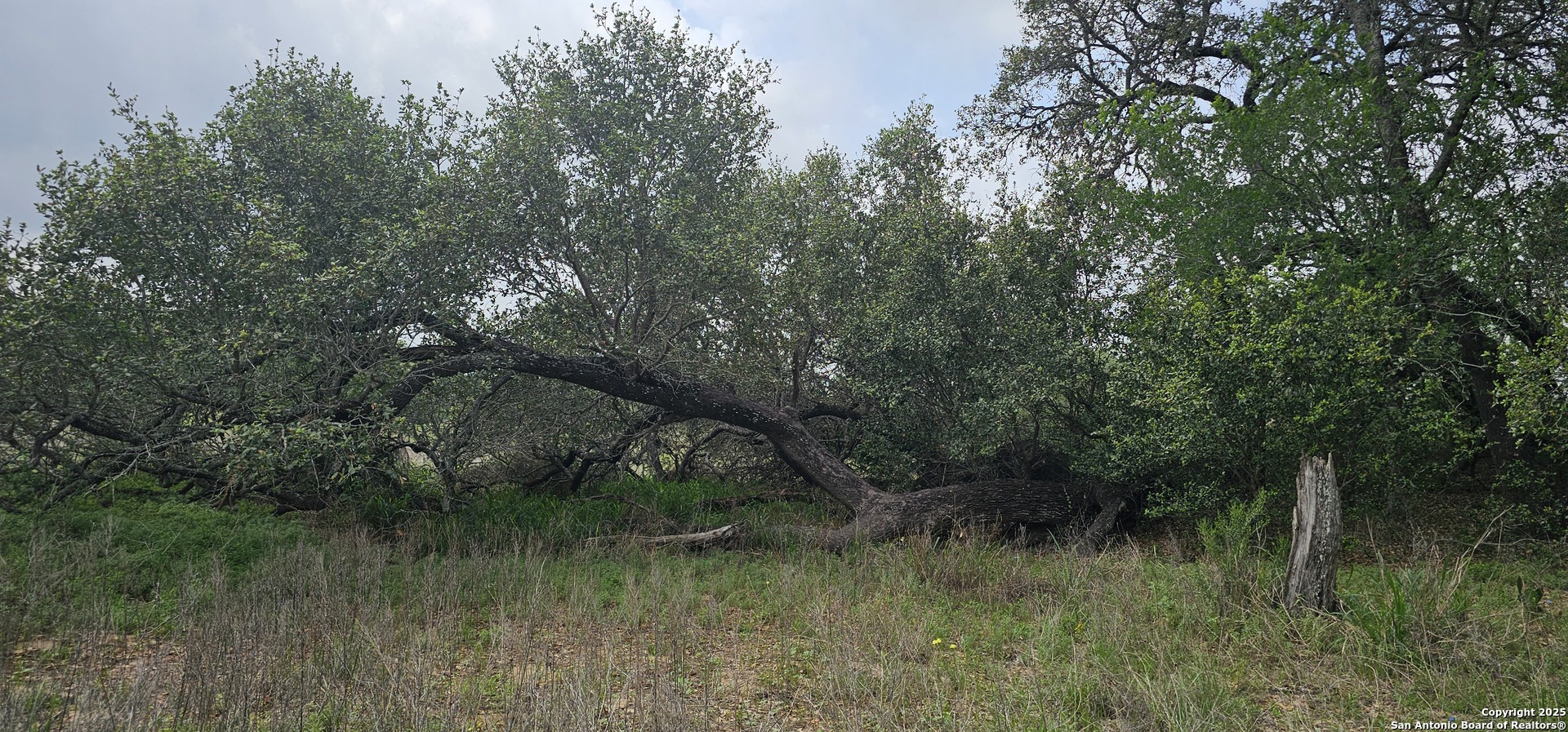 0 Stacey Poteet, TX 78065 - Photo 39 of 44