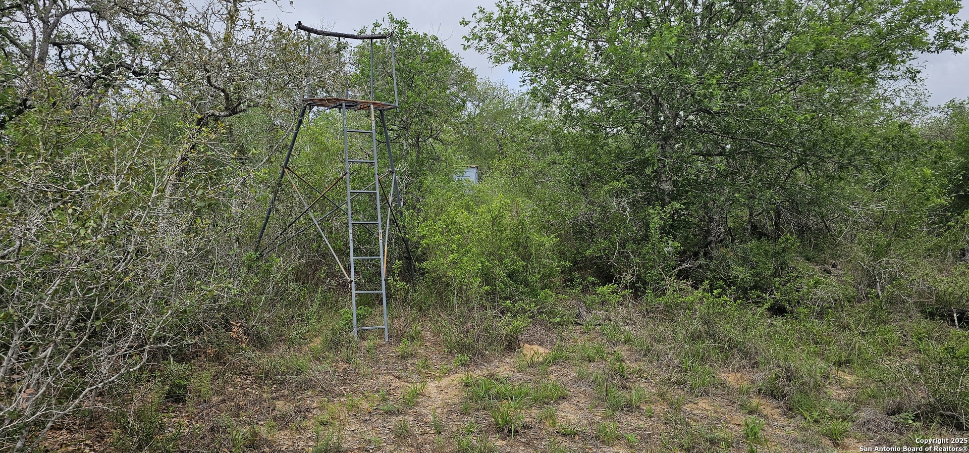 0 Stacey Poteet, TX 78065 - Photo 4 of 44