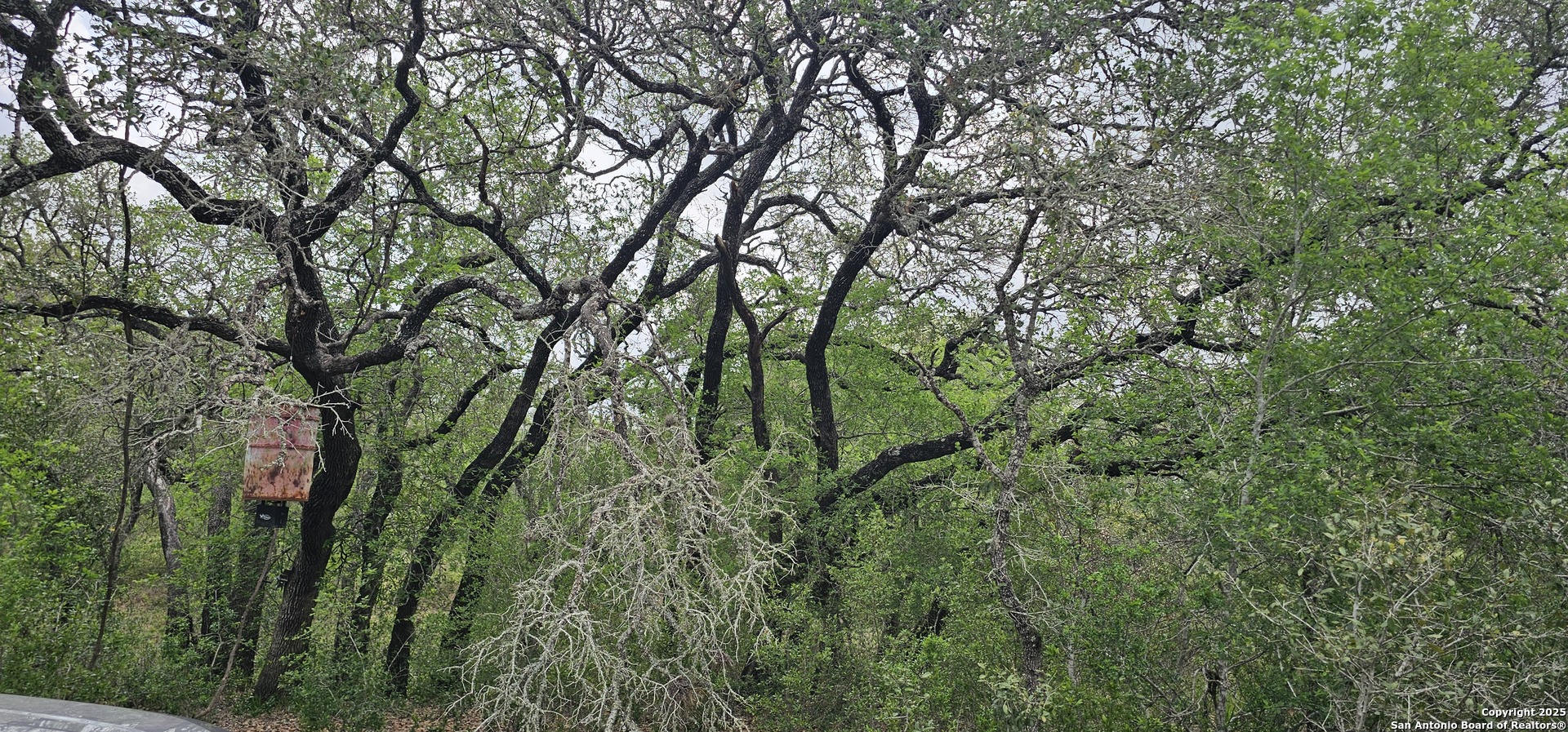 0 Stacey Poteet, TX 78065 - Photo 6 of 44