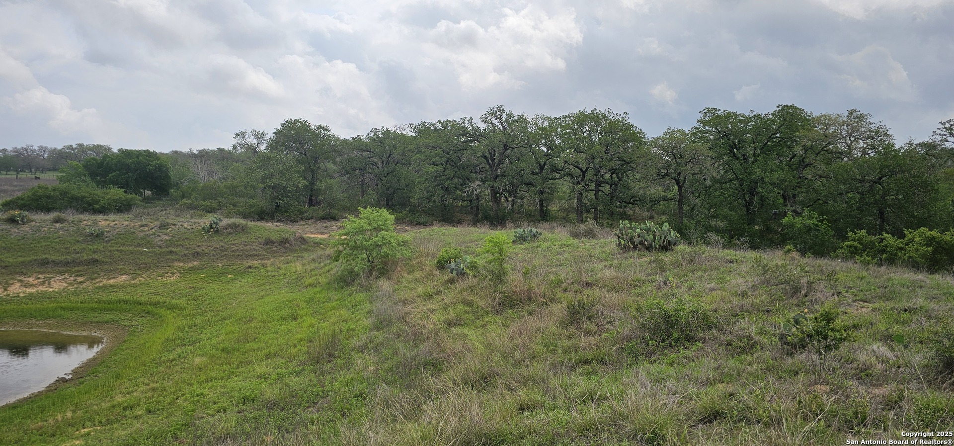 0 Stacey Poteet, TX 78065 - Photo 7 of 44